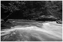 Tinkers Creek cascade, high flow, Bedford Reservation. Cuyahoga Valley National Park ( black and white)
