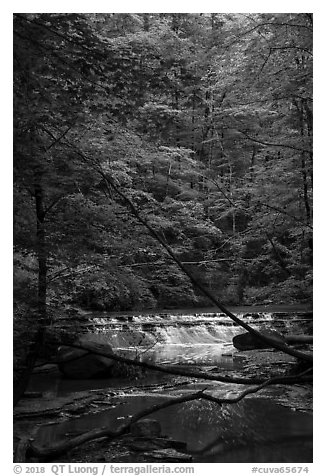 Cascade in forest, Deerlick Creek, Bedford Reservation. Cuyahoga Valley National Park (black and white)