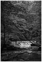 Cascade in forest, Deerlick Creek, Bedford Reservation. Cuyahoga Valley National Park ( black and white)