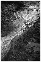 Bridal Veil Falls, high flow, Bedford Reservation. Cuyahoga Valley National Park ( black and white)