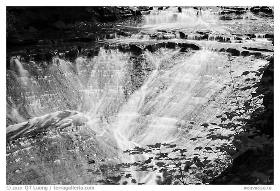 Bridal Veil Falls. Cuyahoga Valley National Park (black and white)