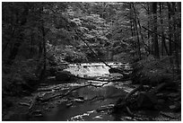 Deerlick Creek with cascade, Bedford Reservation. Cuyahoga Valley National Park ( black and white)