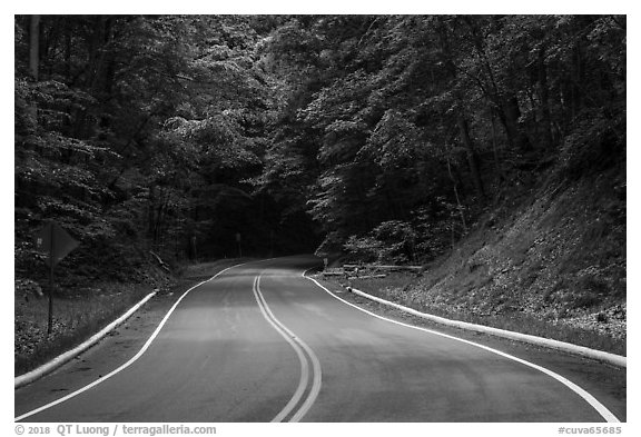 Road in forest. Cuyahoga Valley National Park (black and white)