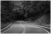 Road in forest. Cuyahoga Valley National Park ( black and white)