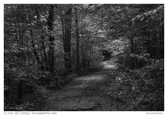 Trail. Cuyahoga Valley National Park (black and white)