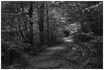 Trail. Cuyahoga Valley National Park ( black and white)