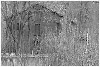 Hale Farm, early spring. Cuyahoga Valley National Park ( black and white)