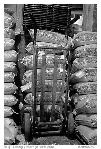 Bags of bird seeds in Wilson Feed Mill. Cuyahoga Valley National Park (black and white)