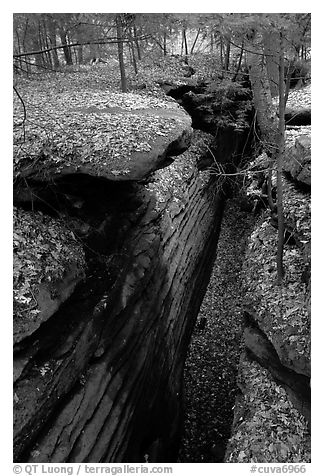 Sandstone depression at The Ledges. Cuyahoga Valley National Park, Ohio, USA.