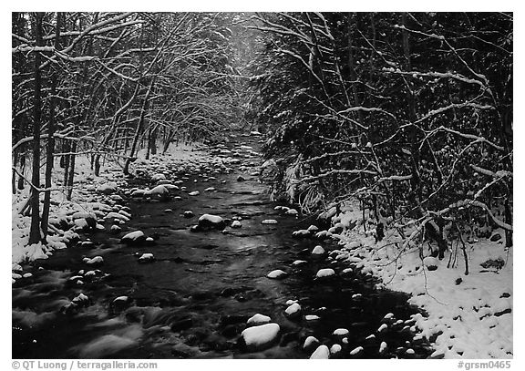River in snowy forest, Tennessee. Great Smoky Mountains National Park, USA.