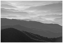 Blue ridges and valley from Clingman's dome, early morning, North Carolina. Great Smoky Mountains National Park ( black and white)