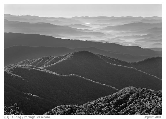 Forested and distant ridges in haze seen from Clingmans Dome, North Carolina. Great Smoky Mountains National Park (black and white)