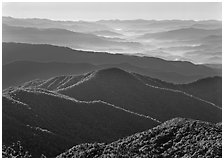 Forested and distant ridges in haze seen from Clingmans Dome, North Carolina. Great Smoky Mountains National Park ( black and white)