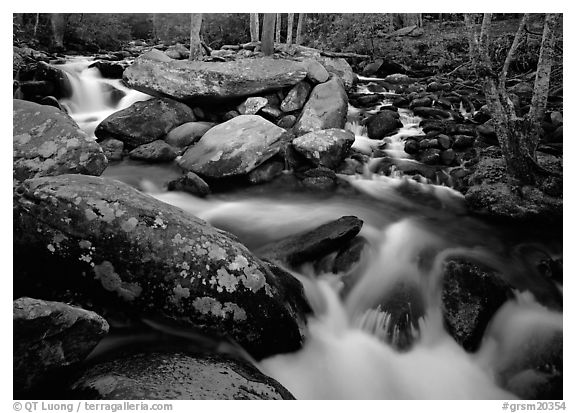 Stream, boulders, and trees, Roaring Fork, Tennessee. Great Smoky Mountains National Park (black and white)