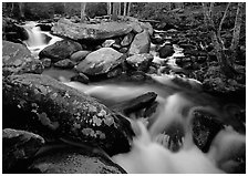 Stream, boulders, and trees, Roaring Fork, Tennessee. Great Smoky Mountains National Park ( black and white)