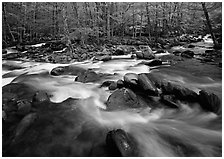 Confluence of the Middle Prong of the Little Pigeon River, Tennessee. Great Smoky Mountains National Park ( black and white)