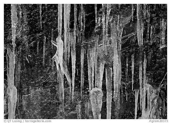 Icicles and rock wall. Great Smoky Mountains National Park, USA.
