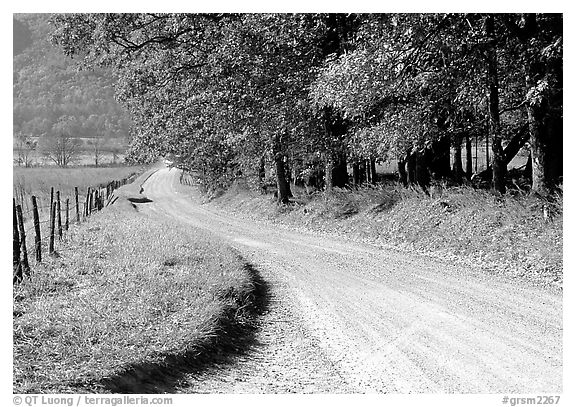 Gravel road in autumn, Cades Cove, Tennessee. Great Smoky Mountains National Park (black and white)