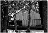 Barn in fall, Cades Cove, Tennessee. Great Smoky Mountains National Park, USA. (black and white)