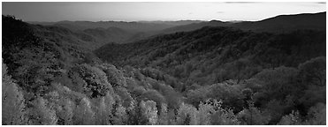 Appalachian autunm landscape of hills with trees in colorful foliage at sunset. Great Smoky Mountains National Park (Panoramic black and white)