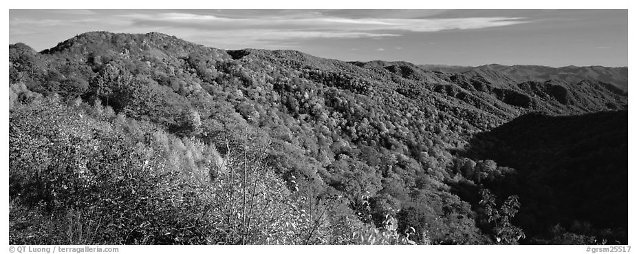 Appalachian hills covered with trees in autumn colors. Great Smoky Mountains National Park (black and white)