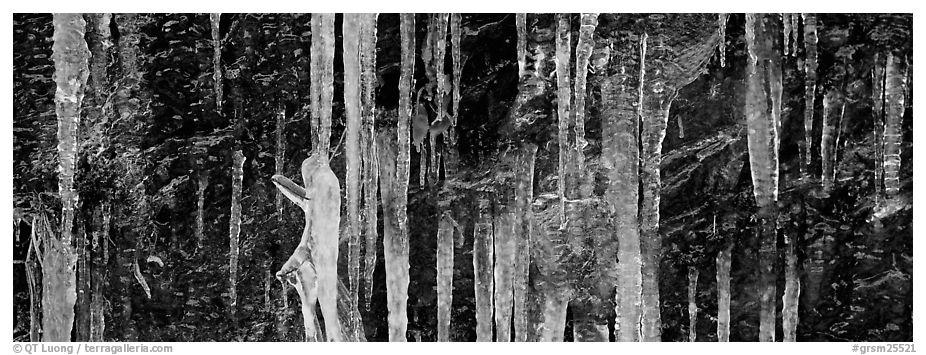 Close-up of icicle formation in winter. Great Smoky Mountains National Park (black and white)