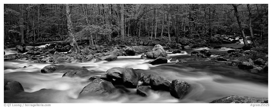 Stream flowing over boulders and spring forest. Great Smoky Mountains National Park (black and white)