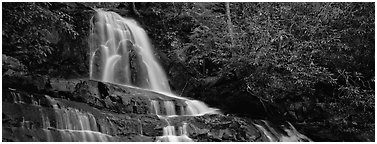 Waterfall in decidous forest. Great Smoky Mountains National Park (Panoramic black and white)