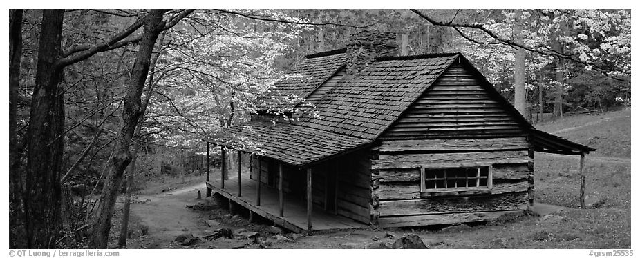 Panoramic Black and White Picture/Photo: Pioneer cabin in the spring