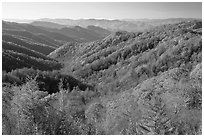 Vista of valley and mountains in fall foliage, morning, North Carolina. Great Smoky Mountains National Park ( black and white)