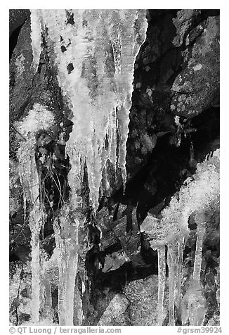 Icicles and rock, overnight frost, North Carolina. Great Smoky Mountains National Park (black and white)