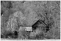 Historic log building, Mountain Farm Museum, North Carolina. Great Smoky Mountains National Park, USA. (black and white)
