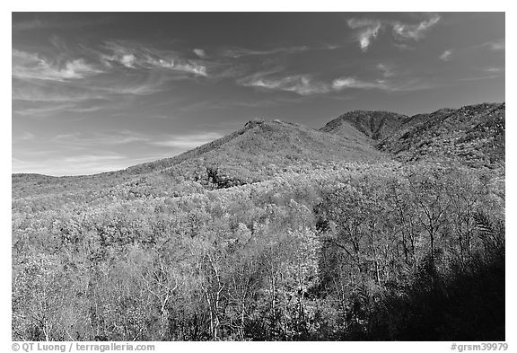 Slopes and hills in fall foliage with mountain behind, Tennessee. Great Smoky Mountains National Park (black and white)