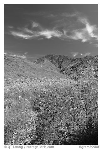 Mount Le Conte and slopes in autumn colors, Tennessee. Great Smoky Mountains National Park (black and white)