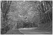 Newfoundland Gap road during the fall, Tennessee. Great Smoky Mountains National Park, USA. (black and white)