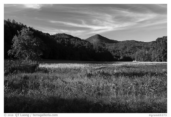 Meadow, Cataloochee Valley, North Carolina. Great Smoky Mountains National Park (black and white)