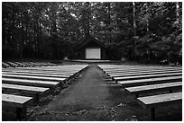 Amphitheater, Elkmont Campground, Tennessee. Great Smoky Mountains National Park ( black and white)