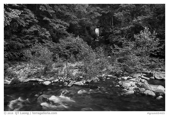 Meigs Falls and Little River, Tennessee. Great Smoky Mountains National Park (black and white)