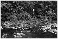 Meigs Falls and Little River, Tennessee. Great Smoky Mountains National Park ( black and white)