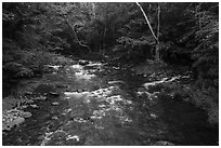 Visitor Looking, Little River, Tennessee. Great Smoky Mountains National Park ( black and white)