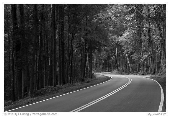 Newfound Gap Road, Tennessee. Great Smoky Mountains National Park (black and white)