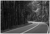 Newfound Gap Road, Tennessee. Great Smoky Mountains National Park ( black and white)