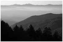 Ridges from Newfound Gap, early morning, North Carolina. Great Smoky Mountains National Park ( black and white)