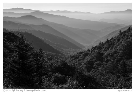 Oconaluftee Valley, early morning, North Carolina. Great Smoky Mountains National Park (black and white)