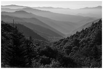 Oconaluftee Valley, early morning, North Carolina. Great Smoky Mountains National Park ( black and white)