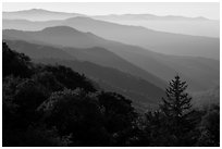 Receding valley and stacked ridges, early morning, North Carolina. Great Smoky Mountains National Park ( black and white)