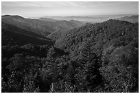 View from Deep Creek Overlook in summer, North Carolina. Great Smoky Mountains National Park ( black and white)