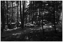 Trailer camping at Elkmont Campground, Tennessee. Great Smoky Mountains National Park ( black and white)