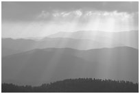 God's rays and ridges from Clingmans Dome, early morning, North Carolina. Great Smoky Mountains National Park ( black and white)