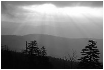 Sunrays over ridges, early morning, North Carolina. Great Smoky Mountains National Park, USA. (black and white)